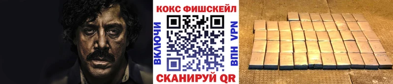 COCAIN Fish Scale  блэк спрут вход  Сясьстрой  цена наркотик 